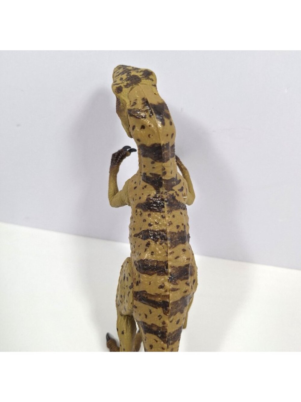 Happy Kin Allosaurus 7" Dinosaur Realistic Articulated Figure Excellent - Picture 2 of 16